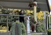 Vlč. Ivan Vučak predvodio duhovnu obnovu prve nedjelje u mjesecu u Ludbregu